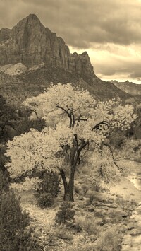Sepia