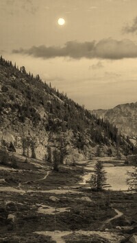 Szary + Sepia