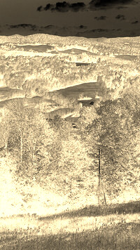 Sepia + Negatyw