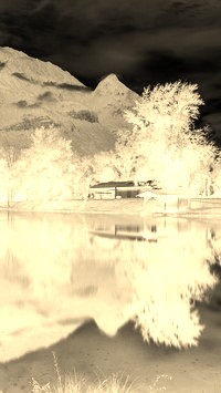 Sepia + Negatyw