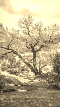 Sepia