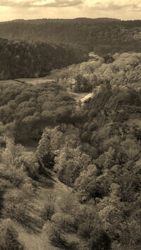 Sepia