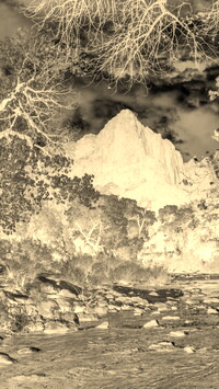 Sepia + Negatyw