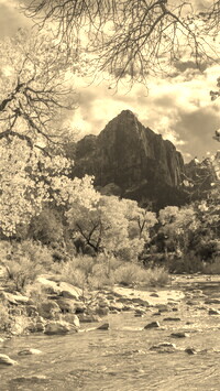 Sepia