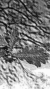 Skamielina