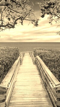 Sepia