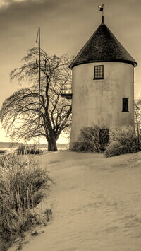 Szary + Sepia