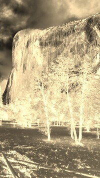Sepia + Negatyw