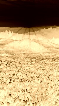 Sepia + Negatyw