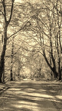 Szary + Sepia