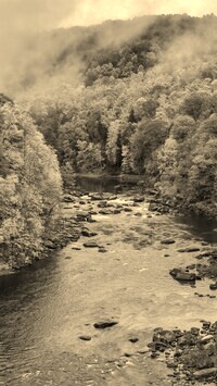 Szary + Sepia