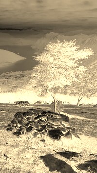 Sepia + Negatyw