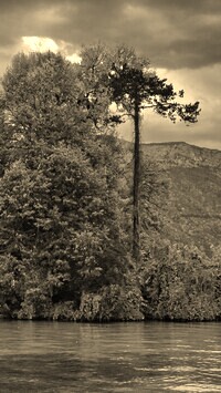 Sepia