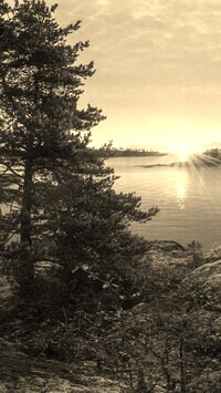 Szary + Sepia
