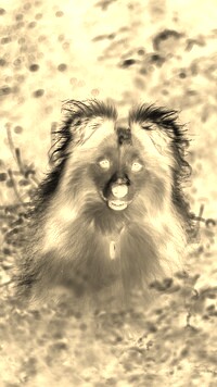 Sepia + Negatyw