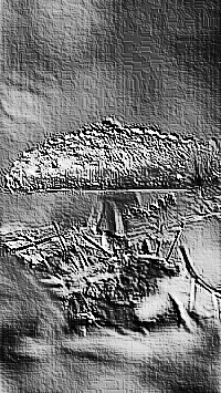 Skamielina