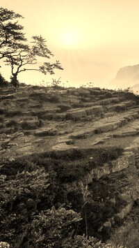 Szary + Sepia