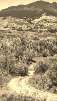 Szary + Sepia