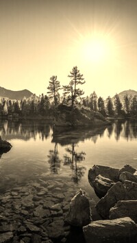 Sepia