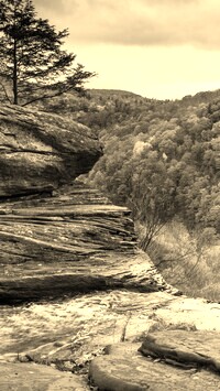 Szary + Sepia