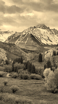 Sepia