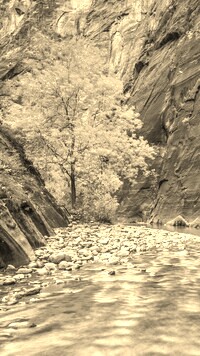 Sepia
