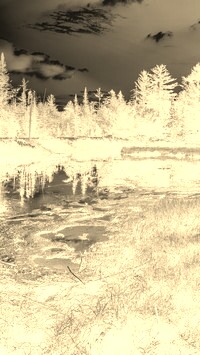 Sepia + Negatyw