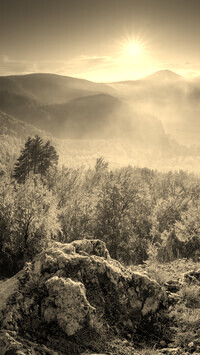Sepia