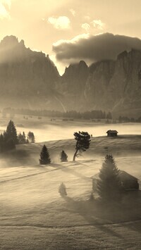 Szary + Sepia