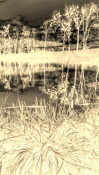 Sepia + Negatyw