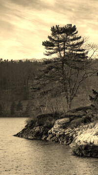 Sepia