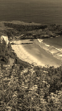 Szary + Sepia