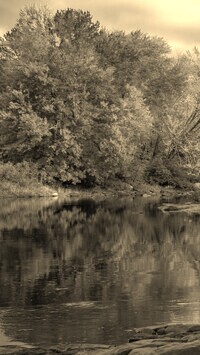 Szary + Sepia