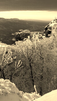 Sepia