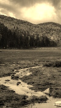 Szary + Sepia