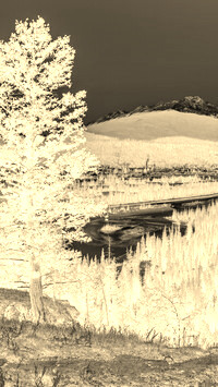 Sepia + Negatyw