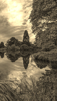 Sepia