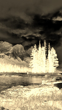 Sepia + Negatyw