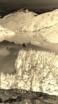 Sepia + Negatyw