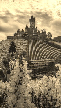 Szary + Sepia