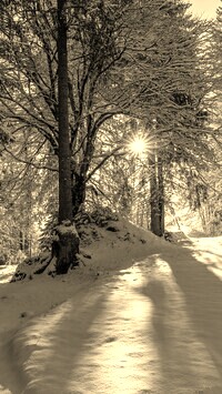 Sepia