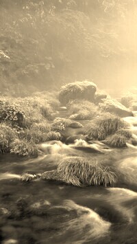 Szary + Sepia