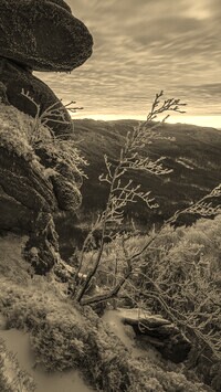 Szary + Sepia