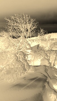 Sepia + Negatyw