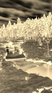 Sepia + Negatyw