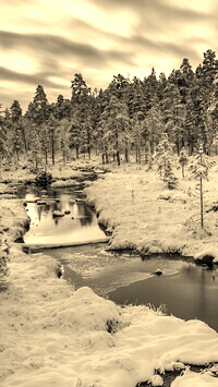 Sepia