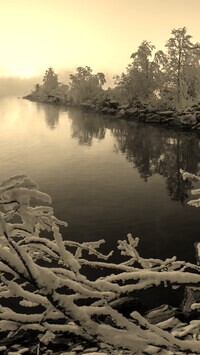 Szary + Sepia