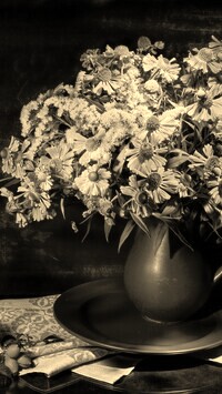 Szary + Sepia
