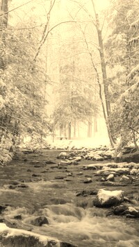 Szary + Sepia