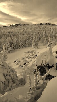 Szary + Sepia